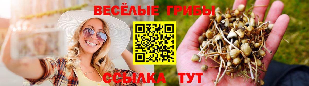 Псилоцибиновые грибы GOLDEN TEACHER Лангепас
